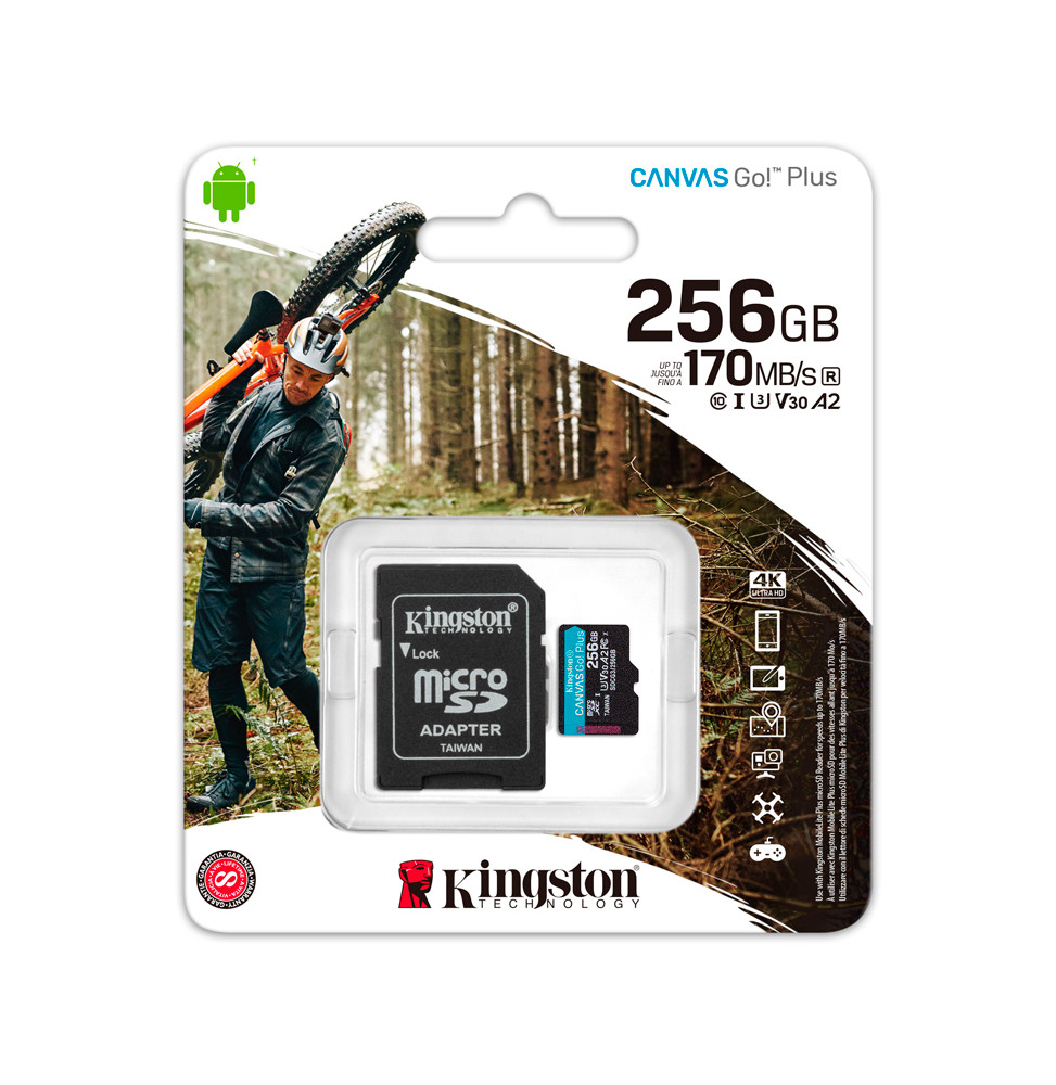 MICROSDXC CANVAS GOPLUS 256GB