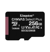 MICRO SD KING CANVAS 256G