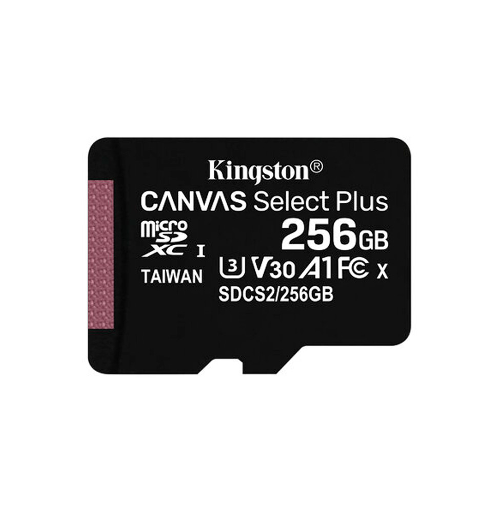 MICRO SD KING CANVAS 256G
